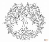 Lebensbaum Keltischer sketch template