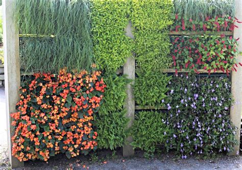 vertical gardens living walls green wall planters