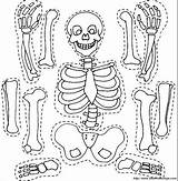 Scheletro Skelett Esqueleto Sonriente Lachelnde Amichevole Ritagliare Ausschneiden Lavoretti Ordnung Webbrowser Benutzen Genügt Risultati sketch template