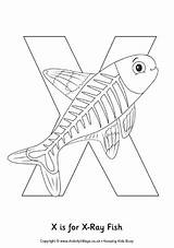 Fish Xray Colouring Coloring Letter Preschool Ray Pages Kids Alphabet Activity Crafts Activityvillage Words Sheets Animal Kindergarten Maths Facts Book sketch template
