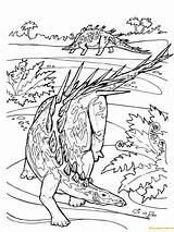 Jurassic Coloring Pages Kentrosaurus Kleurplaat Dinosaur Color Dinosaurs Coloringpagesonly Diplodocus Nl sketch template