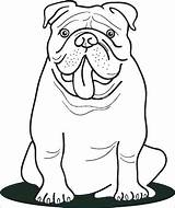 Bulldog Coloring Pages Getdrawings sketch template