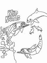 Kratts Kratt Hermanos Dolphins Estés Buscando Más Prints Dolphin Pintarcolorear sketch template