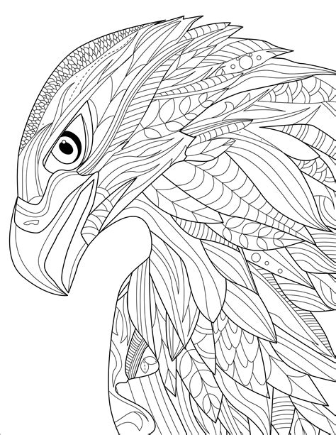 eagle head digital printable coloring page medium difficulty etsy