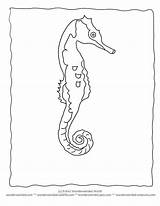 Seahorse Ocean sketch template