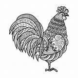 Rooster Zentangle Adult Coloring Stylized Stress Drawn Anti Sketch Cartoon Hand Background Illustration Drawing Eps10 Stock sketch template