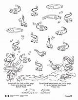 Coloring Pages Ecosystem Newfoundland Getdrawings Popular sketch template