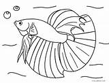 Coloring Pages Fish Realistic Betta Ocean Fishing Jellyfish Cartoon Color Printable Price Rod Saltwater Drawing Getcolorings Cheap Simple Freshwater Box sketch template