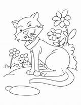 Cat Coloring Happy Pages Twinkle sketch template
