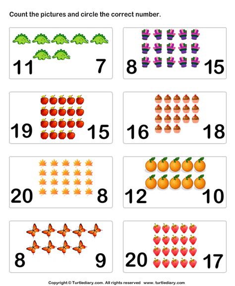 count pictures   twenty worksheet turtle diary