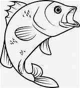 Fish Jumping Water Drawing Jump Drawings Getdrawings sketch template