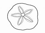 Coloring Pages Sand Dollar Seashell Sea Drawing Clipart Shell Shells Seashells Outline Beach Clip Kids Draw Sheets Printable Drawings Cliparts sketch template
