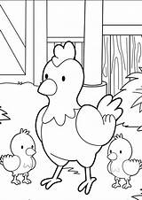 Coloriage Pages Babies Lolirock Amaru Tulamama Animaux Hellokids Sheets Poule Crias Rooster Pintar Ferme Pigs Cour Basse Colorare Poussins Dxf sketch template