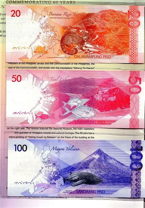 pictures   philippine peso bills