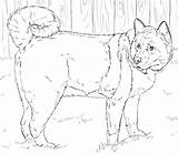 Akita Coloring American Pages Shiba Husky Dog Printable Drawings Dogs Color Drawing Miniature Click Designlooter Print Search Adults Template 1400 sketch template