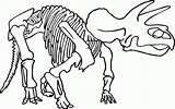 Dinosaur Colorear Knochen Huesos Skeleton Dinosaurier Kolorowanki Dinozaura Dinosaurios Szkielet Quedan Supercoloring Div Hueso übrig Druku Kolorowanka Fossils Ausmalbild Dzieci sketch template