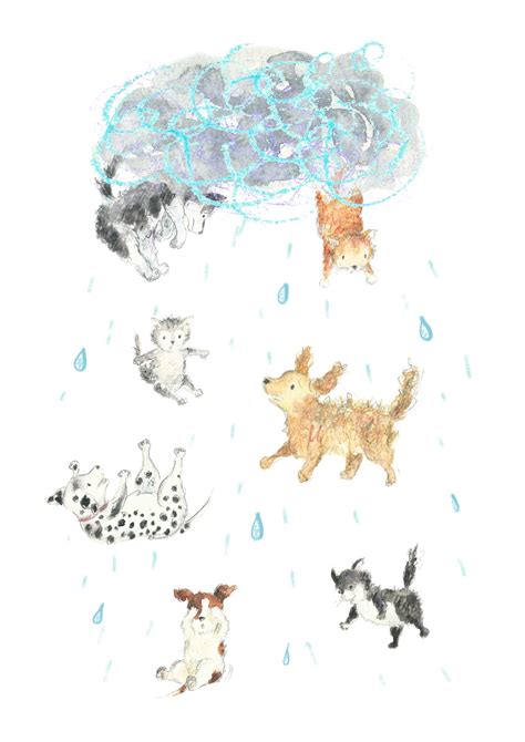 kathleen meaney illustration  raining cats  dogs