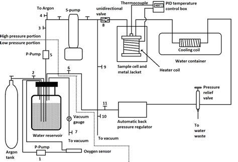 schematic drawing   setup     peristaltic pumps  scientific