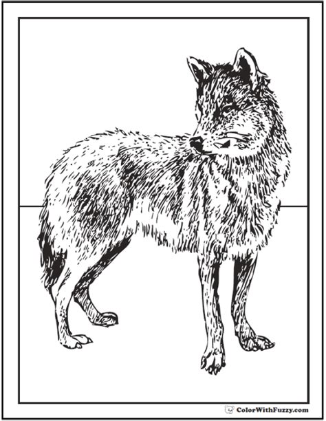 wolf coloring pages print  customize