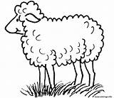 Mouton Sheep Maternelle Coloriages Berger Montagne Dessins Gratuit Shaun Environnement Rigolo sketch template
