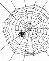 Spider Spiderweb Printable Coloring Click sketch template