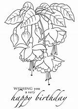 Fuchsia Ribbon sketch template