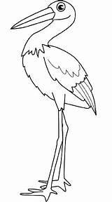Its Legs Stork Feathers Nozzle Coloring sketch template