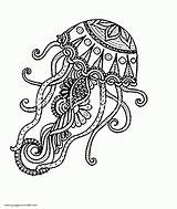 Coloring Pages Adult Animal Adults Printable Jellyfish Animals Sea Colouring Print Look Other sketch template