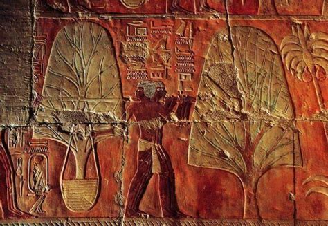 ancient egypt hatshepsuts expeditions   land  punt   mortuary temple