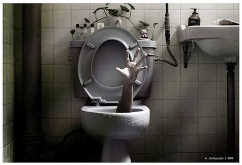 life     toilet  flush  ron