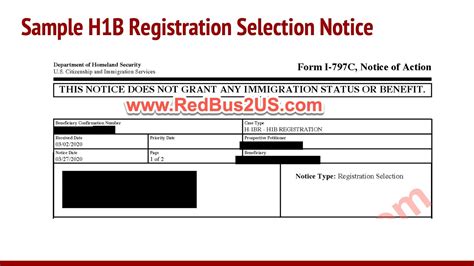 sample hb registration lottery selection notice  uscis filing
