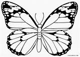 Butterfly Schmetterling Insect Zum Cool2bkids sketch template