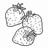 Strawberry Coloring Strawberries Pages Little Three Fruits sketch template