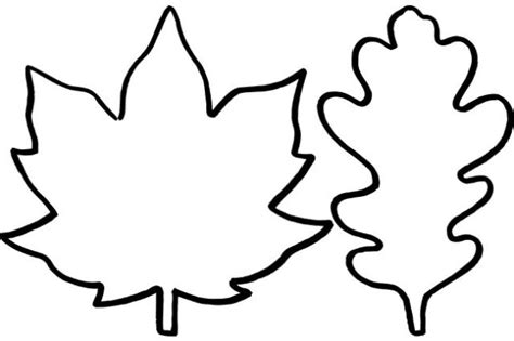 leaf template leaf template leaf outline fall leaf template