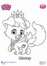 Pets Matey Whisker Haven Ariel Melany Zuñiga sketch template