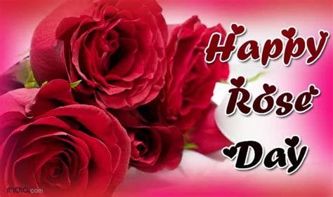 Happy Rose Day 2016 Best Rose Day Sms Quotes Whatsapp And Facebook