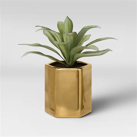 artificial small plant  gold pot target announces   college