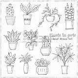 Pot Coloring Plant Plants Designlooter 02kb 450px sketch template