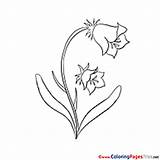 Coloring Bluebell Pages Flower Sheets Hits 1945 sketch template
