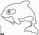 Coloring Orca Pages Clipart Oncoloring sketch template