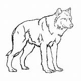 Wolf Pages Coloring Color Kids Baby Printable Print Realistic Animal Scary Drawing Standing Colouring Arctic Wolves Big Draw Bad Cried sketch template