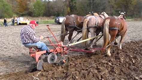 draft horse mule plow day full youtube