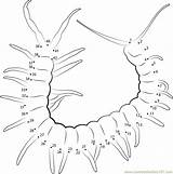 Centipede Connect Red Dots Dot sketch template