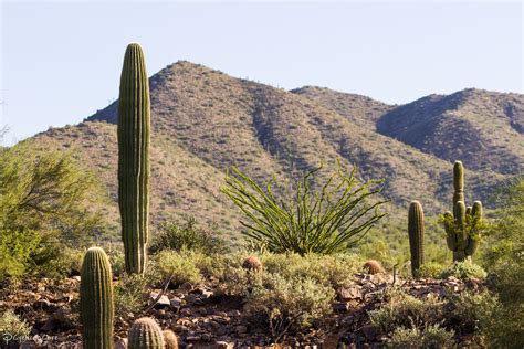 arizona desert   cyclicalcore  deviantart