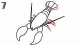 Lobster Nacrtati Kako Tail Jastog Claws Howtodrawanimals sketch template