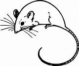 Mouse Svg Clipart  Pixels Wikimedia Commons Nominally Kb Original Size sketch template