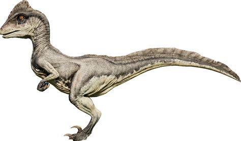 Image Deinoalpine Png Jurassic World Evolution Wiki Fandom