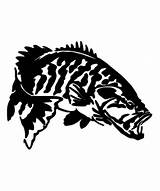 Bass Smallmouth Fishing Sticker Fish Drawing Stickers Getdrawings Choose Cut Drawings Decals Board sketch template