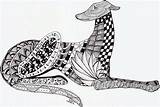 Greyhound Zentangle Visit Colouring sketch template