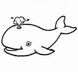 Whale Coloring Shooting Water Animals Pages Coloringcrew sketch template